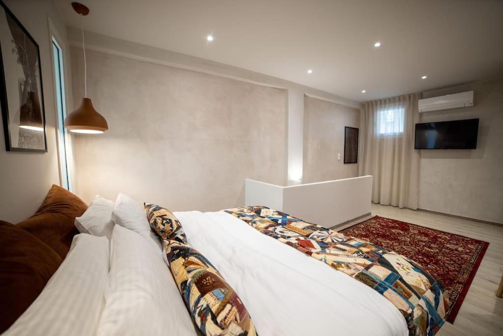 Meteora Loft Appartement Kalampáka Buitenkant foto